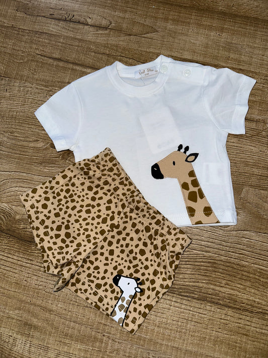 Completo giraffa